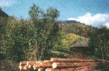 Mikroregin Severn Podpoanie-Obrzky z Podpoania
