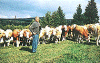 Mikroregin Severn Podpoanie-Obrzky z Podpoania